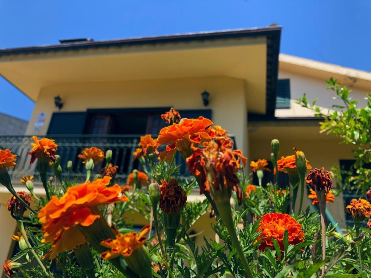 Casa Sao Simao Barcelos